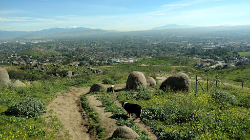 Image of Norco Hills