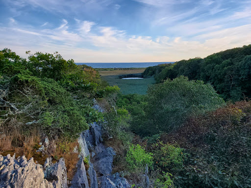 Image of Norman Bird Sanctuary