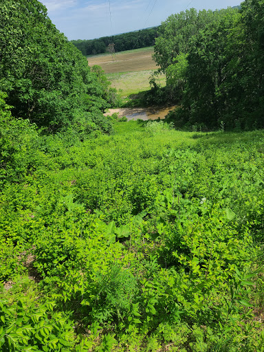 Image of North Gorge