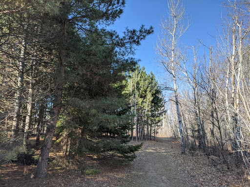 Image of North Woods Preserve