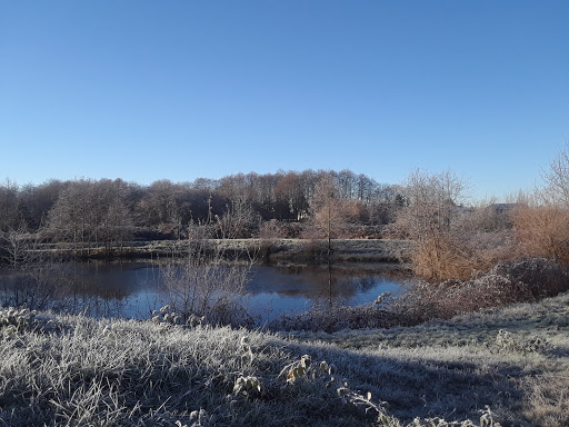 Image of Northpointe Park