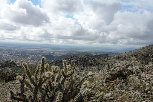 Image of Observation Point