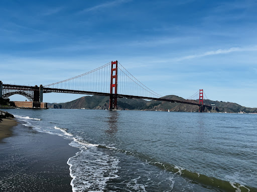 Image of Painted Ladies Tour Company