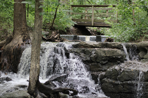 Image of Parkville Nature Sanctuary