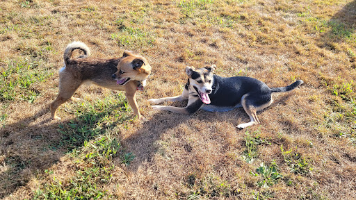 Image of Parrish Park