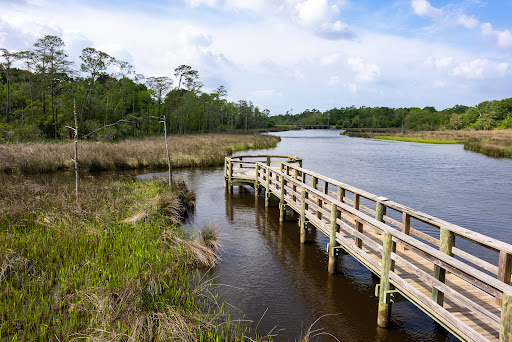 Image of Pascagoula River Audubon Center