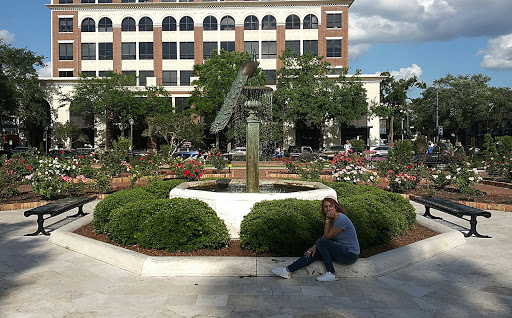 Image of Peacock Fountain