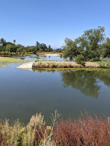 Image of Penitencia Creek County Park