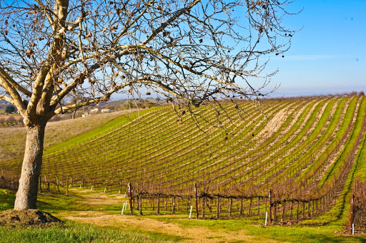 Image of Penman Springs Vineyard