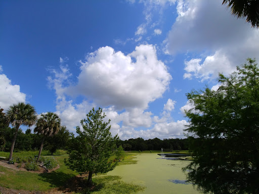 Image of PK2-Palm Park