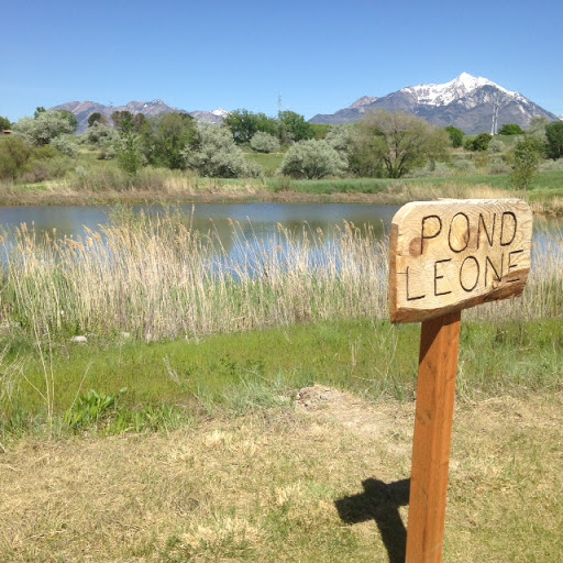 Image of Pond Leone