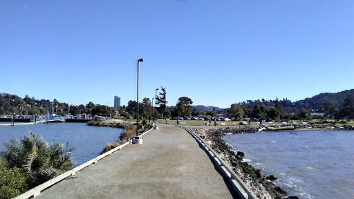 Image of Radke Martinez Regional Shoreline Park