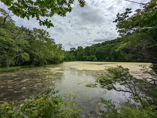 Image of Radnor Lake State Park