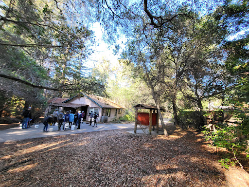 Image of Redwood Grove Nature Preserve