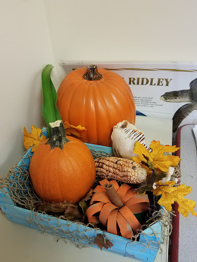 Image of Rhoda L Martin Cultural Heritage