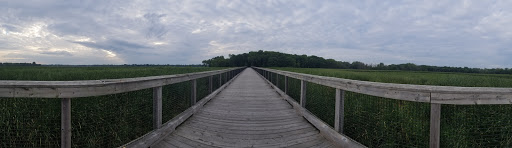 Image of Rice Creek North Regional Trail