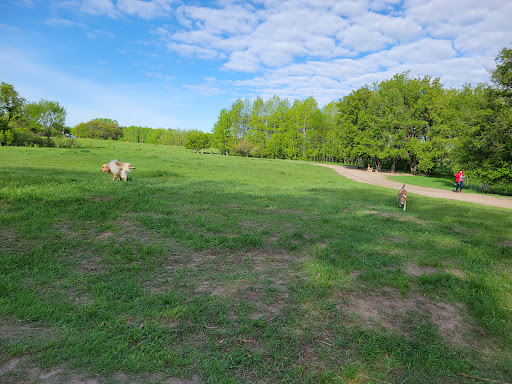 Image of Rice Creek Off-Leash Dog Area