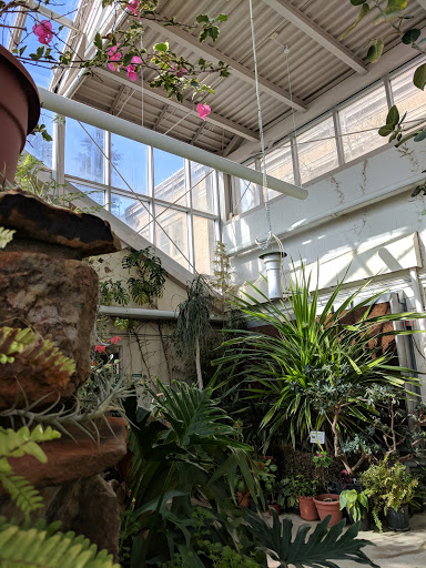 Image of Rocky Mountain Herbarium