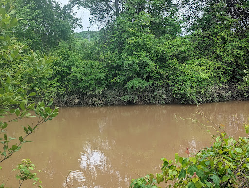 Image of Rocky River Nature Park