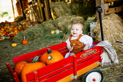 Image of Rolling Acres Pumpkin Patch