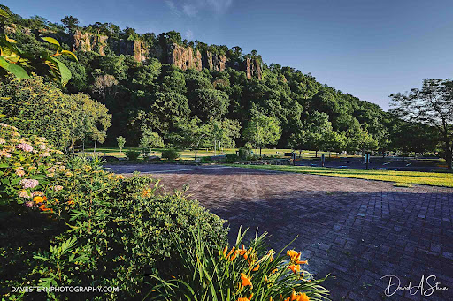 Image of Ross Dock Picnic Area