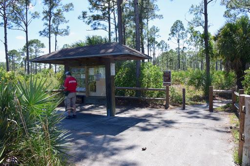Image of Royal Palm Beach Pines Natural Area