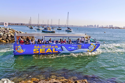 Image of San Diego Seal Tour