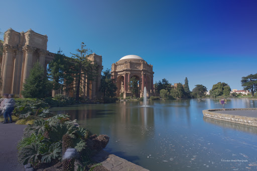 Image of San Francisco Museum of Modern Art