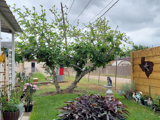 Image of San Juan Gardens