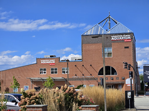 Image of Save The Bay's Hamilton Family Aquarium