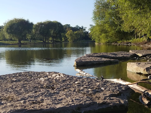 Image of Schiller Woods