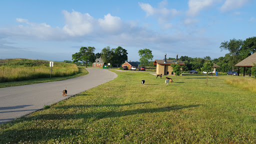 Image of Schweitzer Woods Forest Preserve