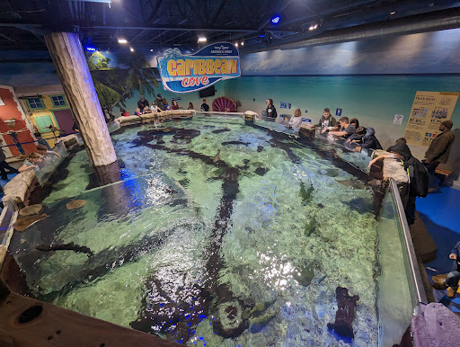 Image of SeaQuest Utah