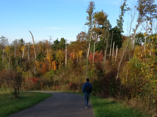 Image of Secrest Arboretum
