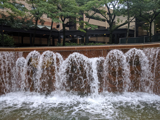 Image of Sensenbrenner Park