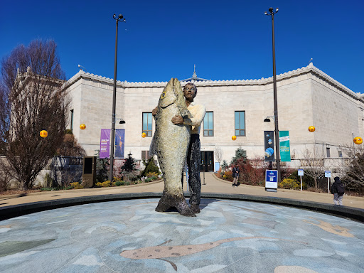 Image of Shedd Aquarium