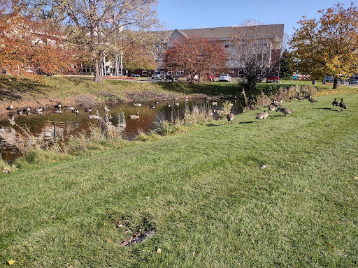 Image of Silver View Park