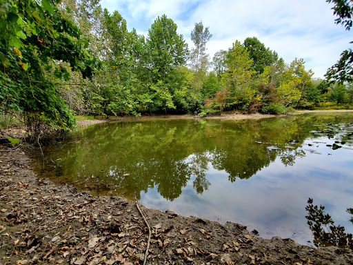 Image of Skiles Test Nature Park