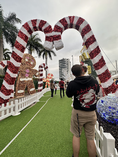 Image of Snow Carnival