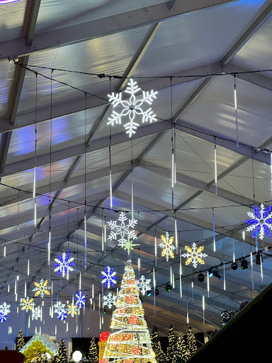 Image of Snow Carnival