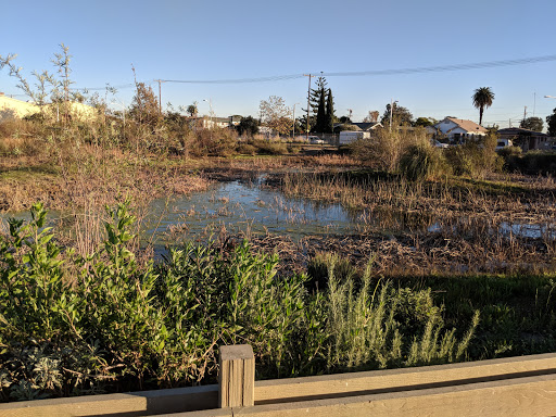 Image of South Los Angeles Wetlands Park