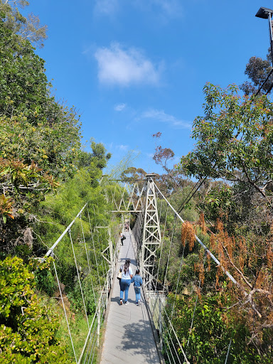 Image of Spruce Street Suspension Bridge