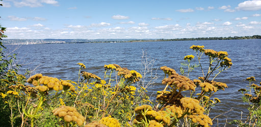 Image of SS Meteor Maritime Museum