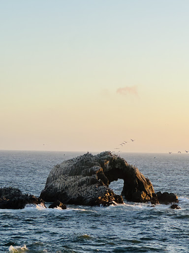 Image of SSG AL Heart Rock