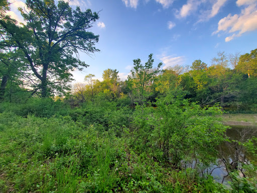 Image of Sunset Bridge Meadow