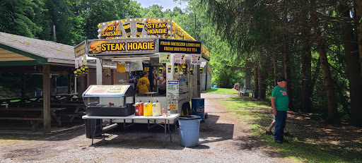 Image of Tall Cedars of Lebanon Forrest