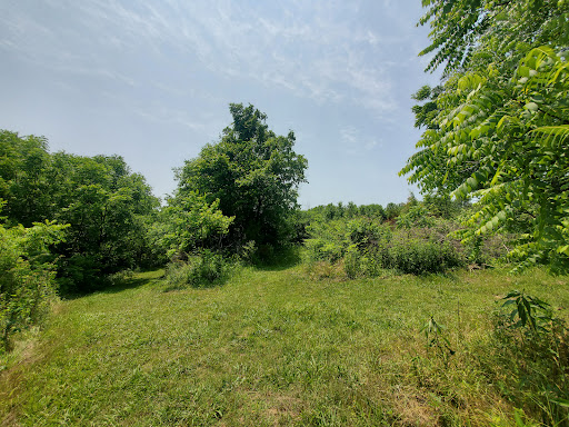 Image of Taylor Fork Ecological Area