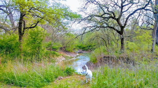 Image of Ten Mile Creek - Dallas County Nature Preserve