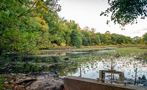 Image of Tenafly Nature Center
