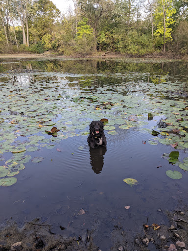 Image of Terra Vista Natural Study Area